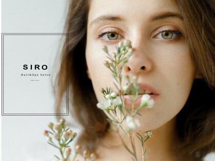 シロ 延岡店(SIRO)の写真