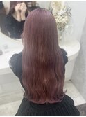 ピンクラベンダー