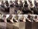 エンネ 新宿(enne)の写真