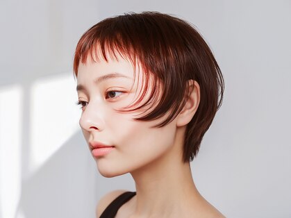 テトテ(TETOTE)の写真