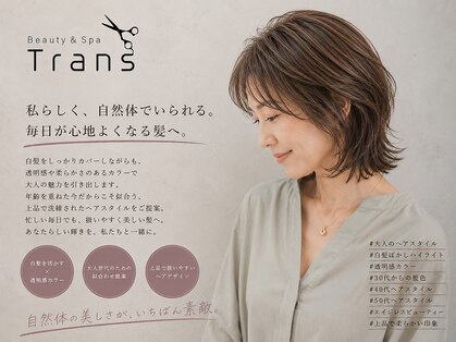 トランス(Trans)の写真