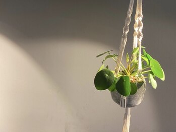 GOOF.【グーフ】