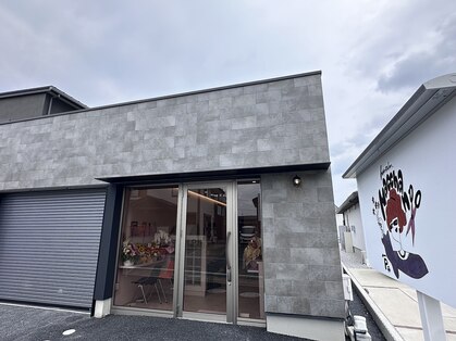 ナッチャン(Nacchan)の写真