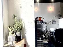 コル(kolu)の雰囲気(抜け感のある癒しスペース(^^))