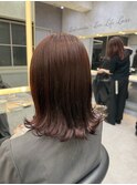 春先取りからー！