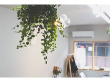 ヒナハ(HINAHA)の雰囲気（植物由来成分を含むプラントプレックス配合カラー質感再整カラー）