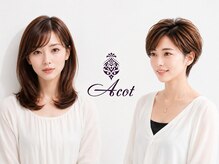 アコット(Acot)
