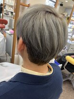 ヴィサージュ(VISAGE) ハイトーンカラー グレー系
