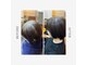 ヘアーサロン ココア(hair salon cocoa)の写真