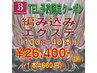 【電話予約専用】★編み込みエクステ(100g=40本)★1本=660円★《26,400円》