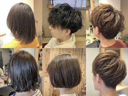 アンプヘア(amphair)の写真