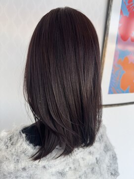 シーエーペッツ(CA-PETZ) 艶髪バイオレットブラウン