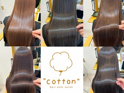 コットン(cotton)の写真