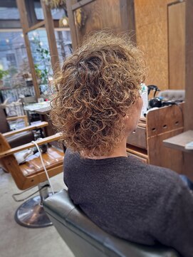 ロルド シェリ(Rold Cheri) 【山本智文】外国人風ハードパーマ