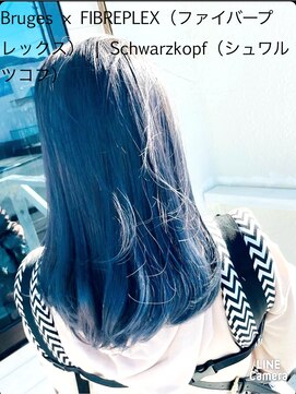 ブルー バード(BLUE BIRD) Bruges×FIBREPLEX