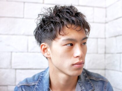 ロッコ(rocco)の写真
