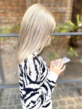 ノース(THE NORTH) 【ＴＨＥ　ＮＯＲＴＨ】