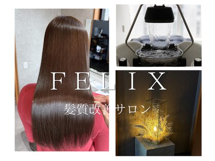 フェリックス(FELIX)の写真