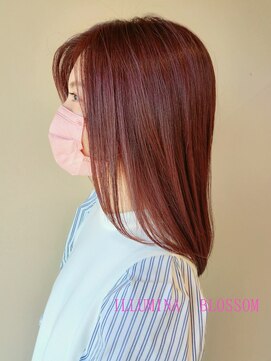 ヴァンカウンシル 伊那(VAN COUNCIL) 艶感アップデート☆秋色ピンクカラー