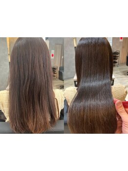 「サロンでTrしても、すぐに効果が消える…」内部補修＋水分保持＋表面コートを一度に叶える厳選ケア。