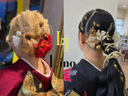 リノ(Lino)の写真