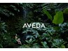 カット+AVEDAカラー+ボタニカルトリートメント+スカルプヘッドスパ¥18,700