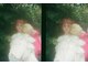 ヌウ(nuu)の写真