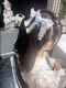 アールエーサロンモノクロ 秋葉原(RA SALON モノクロ)の写真/《秋葉原駅徒歩5分》再現性にこだわったヘアセットで、最旬ヘア“RA SALON モノクロ”で可愛くなれちゃう♪