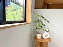 シェアサロン Uの雰囲気（緑の見える店内）