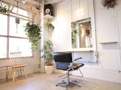 フォークス(FOLKS)の写真