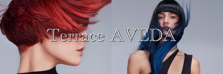 テラス アヴェダ 大丸心斎橋店(Terrace AVEDA)のサロンヘッダー