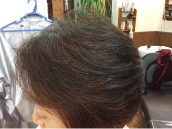 ゾーンヘアの写真/ハーブ・香草カラーで傷みにくい◎白髪染めをあなたにお届け！[ヘナ/白髪染め/白髪ぼかし]