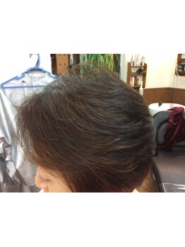 ハーブ・香草カラーで傷みにくい◎白髪染めをあなたにお届け！[ヘナ/白髪染め/白髪ぼかし]