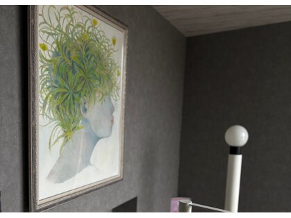 クリサンセマム(Chrysanthemum)の写真
