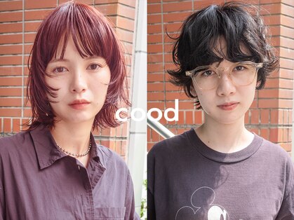 クード(cood)の写真
