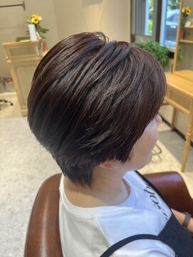 コーシェリ(Koselig) ショート