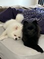 カーネル 大須(CARNEL) きぬ、そまり