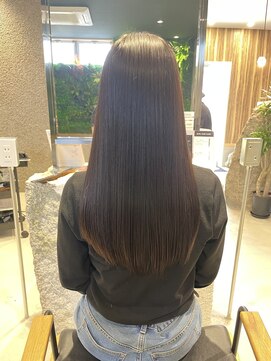 ポラリス(Polaris) 森田　ナチュラルブラウン