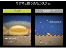 【オイルカラーが大人気な理由】アンモニアが無配合。ノー刺激臭♪