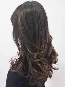 リアン ヘアーデザインスタジオ 横須賀店(Lien hair design studio)の写真/厳選した商材と、ベテランスタイリストの技術で髪のお悩みを解決◎髪の内部からの髪質改善をご提案します。