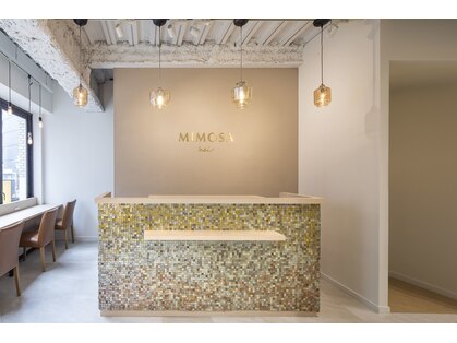 ミモザ(MIMOSA)の写真