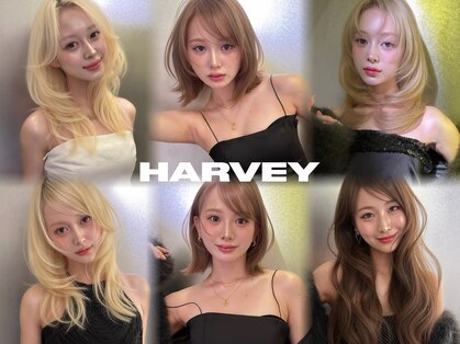 HARVEY 大宮店【ハーヴィー】【2月28日オープン(予定)】の写真