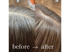 Hair Collection MOVE【ヘアーコレクションムーブ】