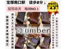 アンバー(umber)