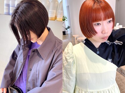 シテン(SITEN)の写真