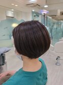 サマーコンパクトショート
