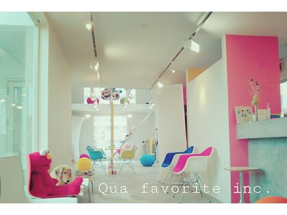 クアフェイバリット(Qua favorite)の写真