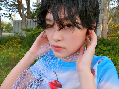 デコル(DECOL)の写真