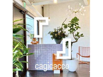 カギカッコ(cagicacco)の写真