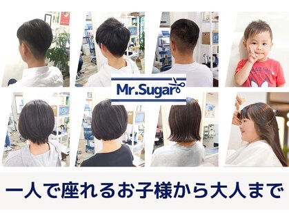 ミスターシュガー(Mr.Sugar)の写真